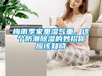 常見問題梅雨季家里濕氣重，這個防潮除濕的妙招你應(yīng)該知曉