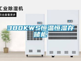 常見問題380KWS恒溫恒濕存儲柜