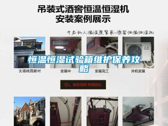 知識百科恒溫恒濕試驗(yàn)箱維護(hù)保養(yǎng)攻略