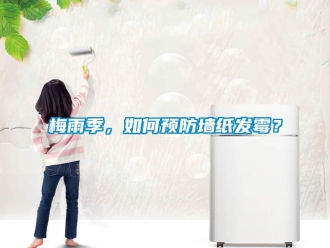 常見問題梅雨季，如何預防墻紙發霉？