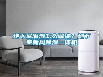 常見問題地下室潮濕怎么解決？地下室新風除濕一體機