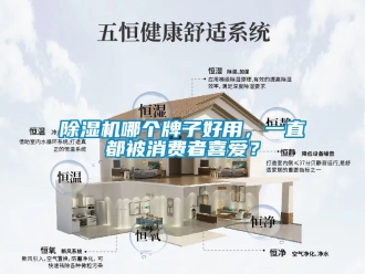 行業(yè)新聞除濕機(jī)哪個(gè)牌子好用，一直都被消費(fèi)者喜愛(ài)？