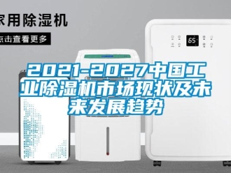 常見問題2021-2027中國工業除濕機市場現狀及未來發展趨勢