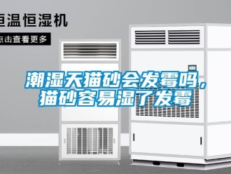 常見問題潮濕天貓砂會發(fā)霉嗎，貓砂容易濕了發(fā)霉