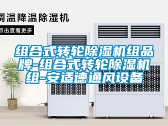 常見問題組合式轉(zhuǎn)輪除濕機(jī)組品牌-組合式轉(zhuǎn)輪除濕機(jī)組-安適德通風(fēng)設(shè)備