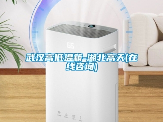 常見(jiàn)問(wèn)題武漢高低溫箱-湖北高天(在線咨詢)