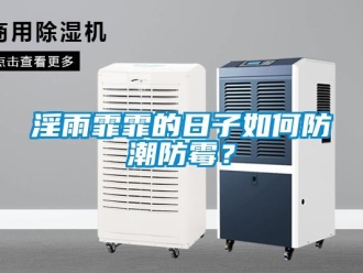 常見問題淫雨霏霏的日子如何防潮防霉？