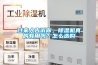 過來人告訴你，除濕機(jī)真的有用嗎？怎么選購