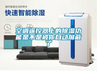 行業(yè)新聞空調(diào)遙控器上的除濕功能是不是被你自動屏蔽了