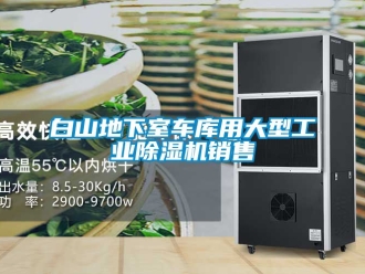 常見問題白山地下室車庫用大型工業除濕機銷售