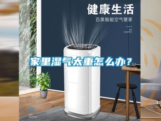 常見問題家里濕氣太重怎么辦？