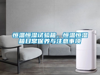 知識百科恒溫恒濕試驗箱，恒溫恒濕箱日常保養(yǎng)與注意事項