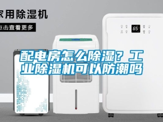 常見問題配電房怎么除濕？工業除濕機可以防潮嗎