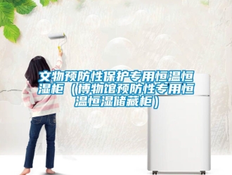 知識(shí)百科文物預(yù)防性保護(hù)專(zhuān)用恒溫恒濕柜（博物館預(yù)防性專(zhuān)用恒溫恒濕儲(chǔ)藏柜）