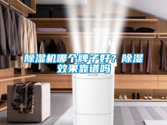 行業新聞除濕機哪個牌子好？除濕效果靠譜嗎