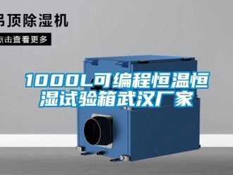 常見問題1000L可編程恒溫恒濕試驗箱武漢廠家