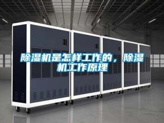 行業(yè)新聞除濕機是怎樣工作的，除濕機工作原理
