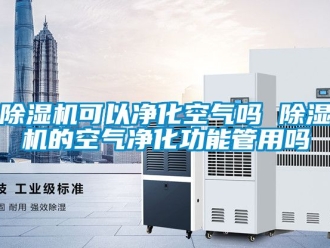 行業新聞除濕機可以凈化空氣嗎 除濕機的空氣凈化功能管用嗎