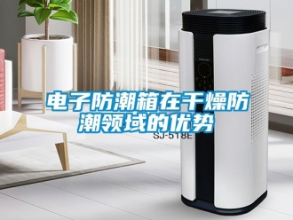 常見問題電子防潮箱在干燥防潮領域的優勢