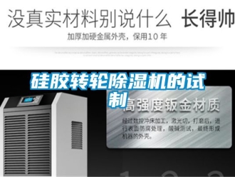 常見問題硅膠轉(zhuǎn)輪除濕機的試制