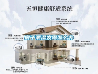 常見問題房子潮濕發霉怎么辦