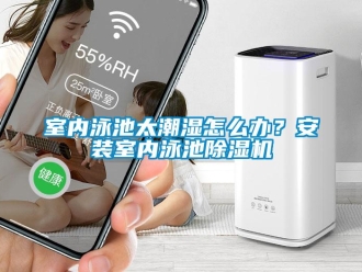 常見(jiàn)問(wèn)題室內(nèi)泳池太潮濕怎么辦？安裝室內(nèi)泳池除濕機(jī)