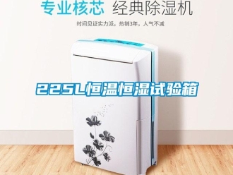 常見問題225L恒溫恒濕試驗(yàn)箱