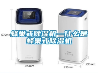行業新聞蜂巢式除濕機—什么是蜂巢式除濕機