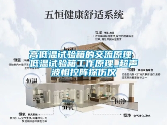 常見(jiàn)問(wèn)題高低溫試驗(yàn)箱的交流原理 低溫試驗(yàn)箱工作原理_超聲波相控陣探傷儀