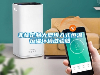 知識(shí)百科非標(biāo)定制大型步入式恒溫恒濕環(huán)境試驗(yàn)艙