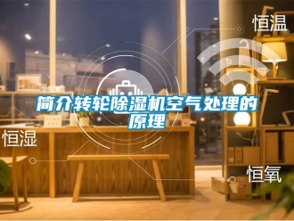 常見問題簡介轉輪除濕機空氣處理的原理