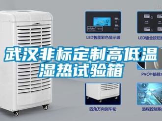 常見(jiàn)問(wèn)題武漢非標(biāo)定制高低溫濕熱試驗(yàn)箱
