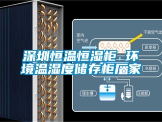知識百科深圳恒溫恒濕柜 環境溫濕度儲存柜廠家