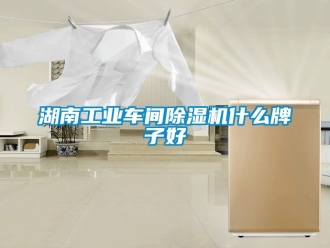 常見問題湖南工業車間除濕機什么牌子好