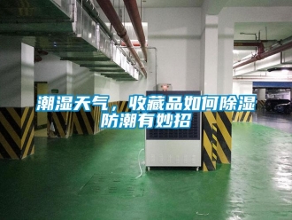 常見問題潮濕天氣，收藏品如何除濕防潮有妙招