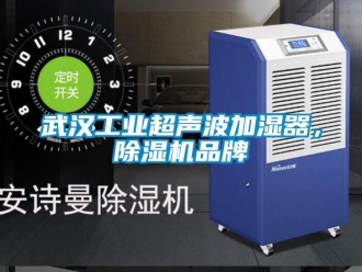 常見問題武漢工業超聲波加濕器，除濕機品牌