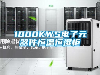 常見問題1000KWS電子元器件恒溫恒濕柜