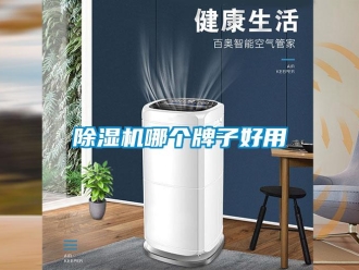 常見問題除濕機哪個牌子好用