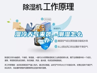 常見問題濕冷天氣來襲，潮濕怎么辦？