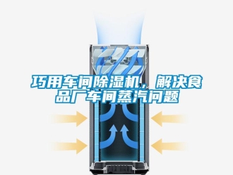 常見問題巧用車間除濕機，解決食品廠車間蒸汽問題