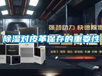 常見問題除濕對皮革保存的重要性