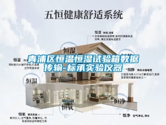 知識(shí)百科青浦區(qū)恒溫恒濕試驗(yàn)箱數(shù)據(jù)傳輸-標(biāo)承實(shí)驗(yàn)儀器
