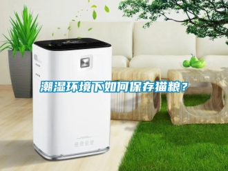 常見(jiàn)問(wèn)題潮濕環(huán)境下如何保存貓糧？