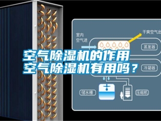 行業新聞空氣除濕機的作用 空氣除濕機有用嗎？