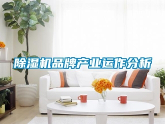 常見(jiàn)問(wèn)題除濕機(jī)品牌產(chǎn)業(yè)運(yùn)作分析