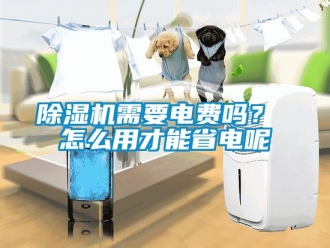 行業(yè)新聞除濕機需要電費嗎？ 怎么用才能省電呢