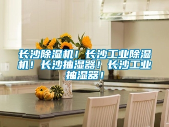 常見問題長沙除濕機！長沙工業除濕機！長沙抽濕器！長沙工業抽濕器！