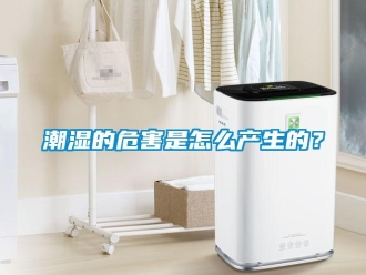 常見(jiàn)問(wèn)題潮濕的危害是怎么產(chǎn)生的？