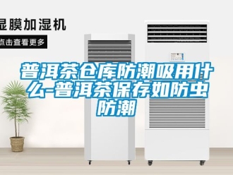 常見問題普洱茶倉庫防潮吸用什么-普洱茶保存如防蟲防潮