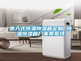 知識(shí)百科步入式恒溫恒濕箱定制 恒溫恒濕箱廠家泰斯特